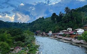 Jungle Life Guest House - Trekking & Transport Only Book With Us