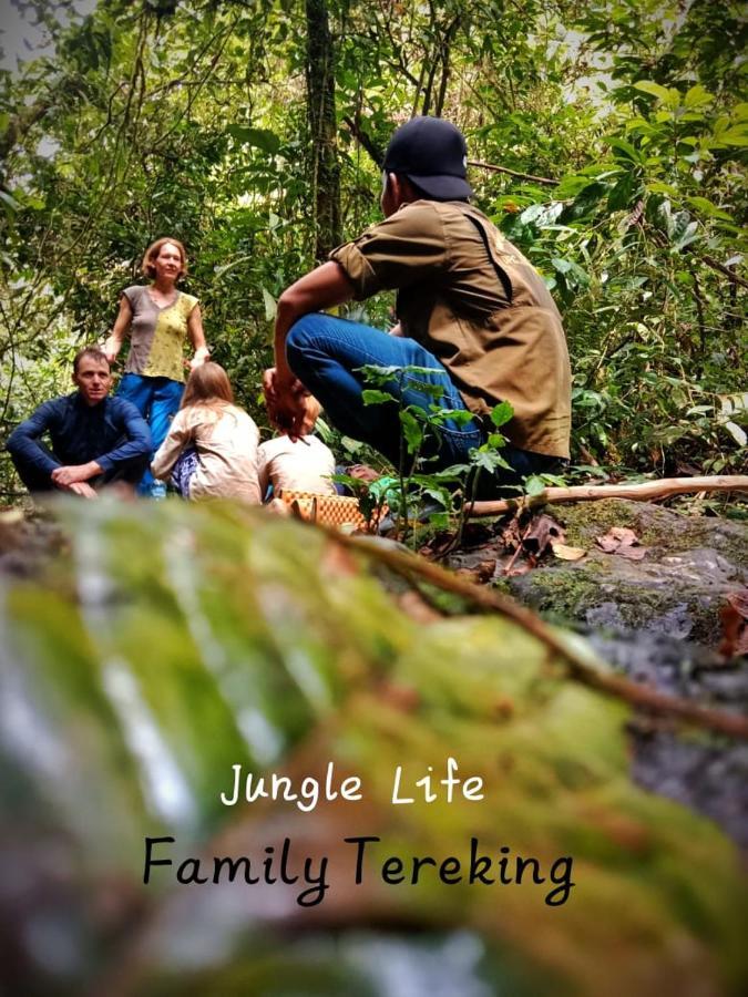 Jungle Life Guest House - Trekking & Transport Only Book With Us Bukit Lawang Exterior photo