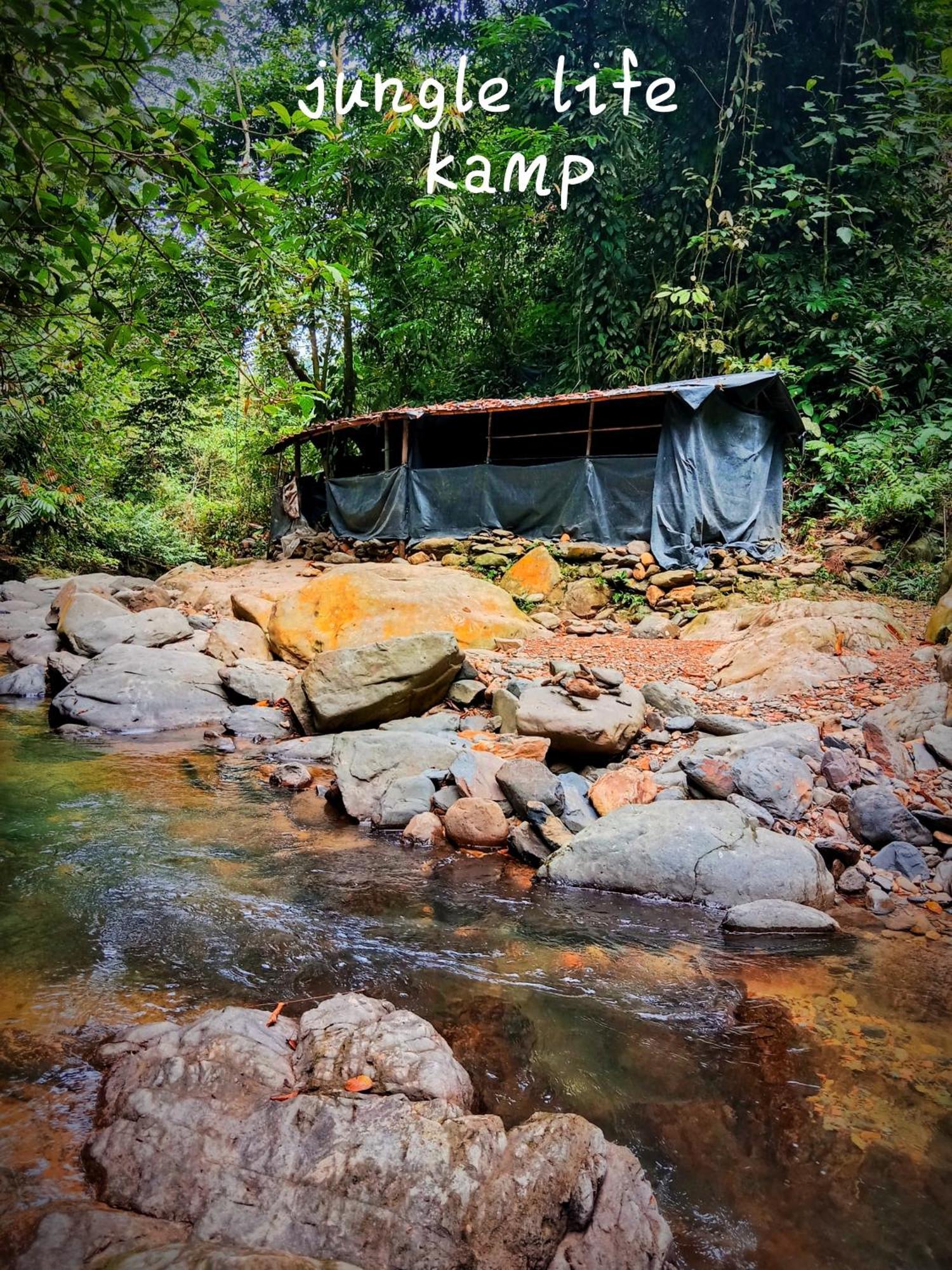 Jungle Life Guest House - Trekking & Transport Only Book With Us Bukit Lawang Exterior photo