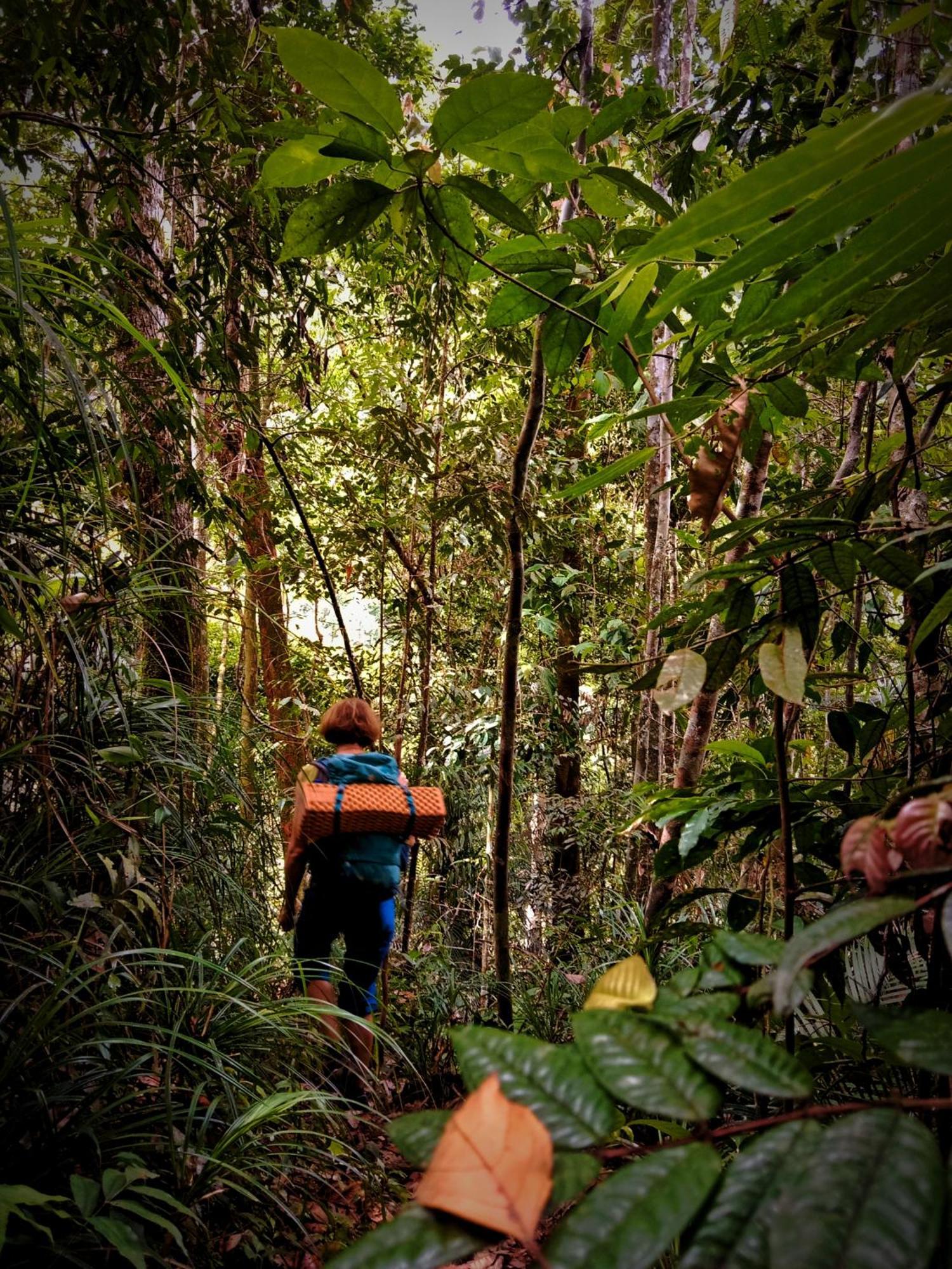 Jungle Life Guest House - Trekking & Transport Only Book With Us Bukit Lawang Exterior photo